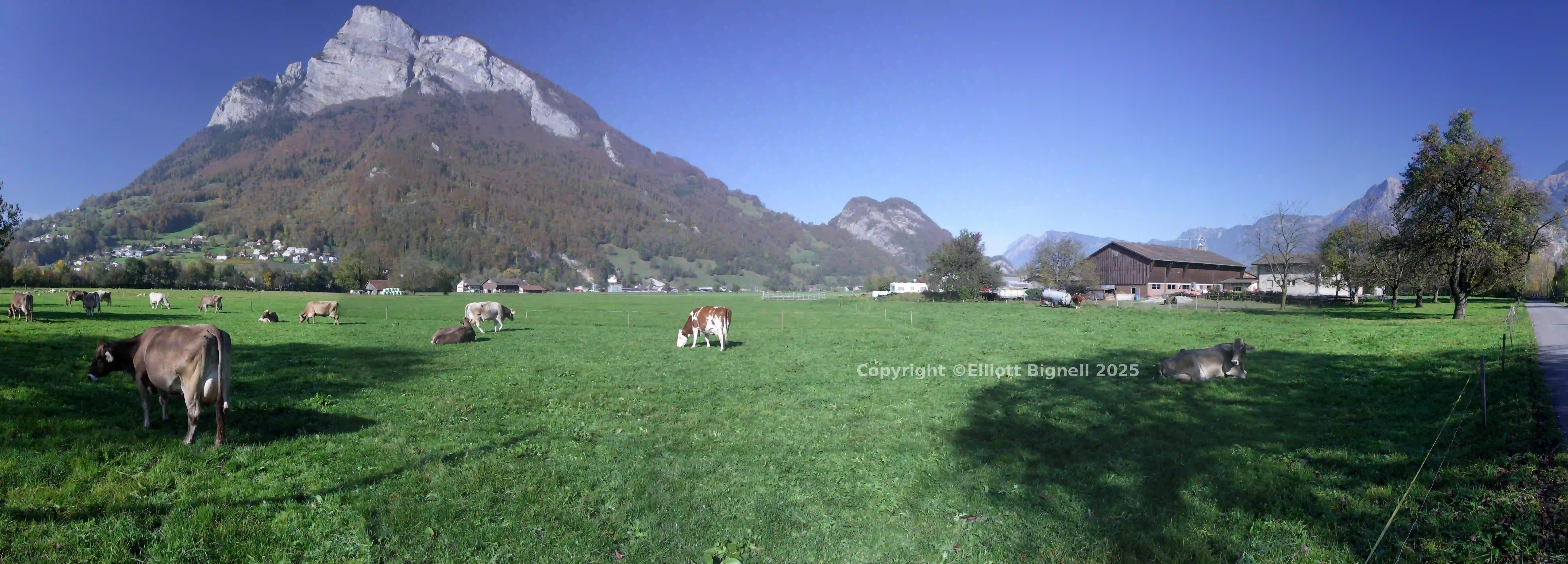 Sargans 18.jpg